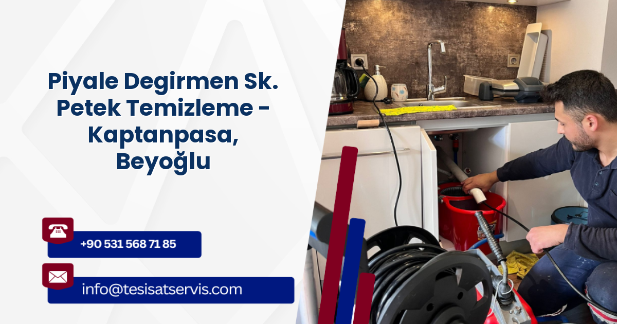Piyale Degirmen Sk. Petek Temizleme - Kaptanpasa, Beyoğlu