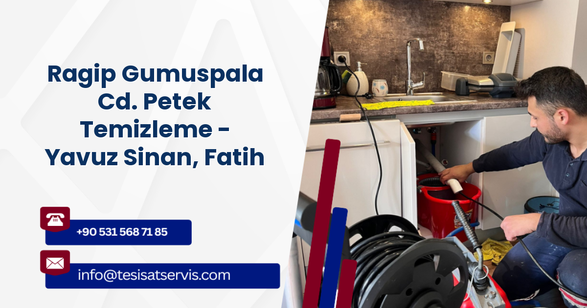 Ragip Gumuspala Cd. Petek Temizleme - Yavuz Sinan, Fatih