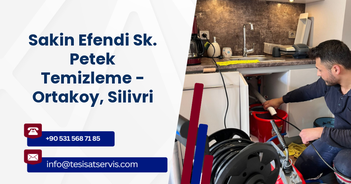 Sakin Efendi Sk. Petek Temizleme - Ortakoy, Silivri