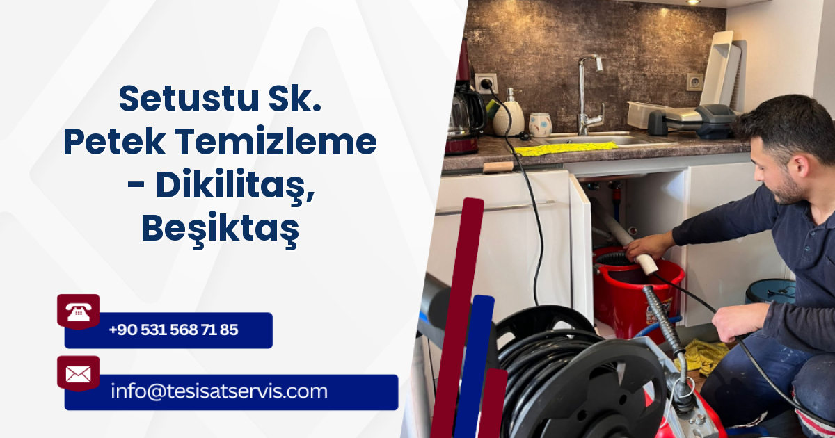 Setustu Sk. Petek Temizleme - Dikilitaş, Beşiktaş