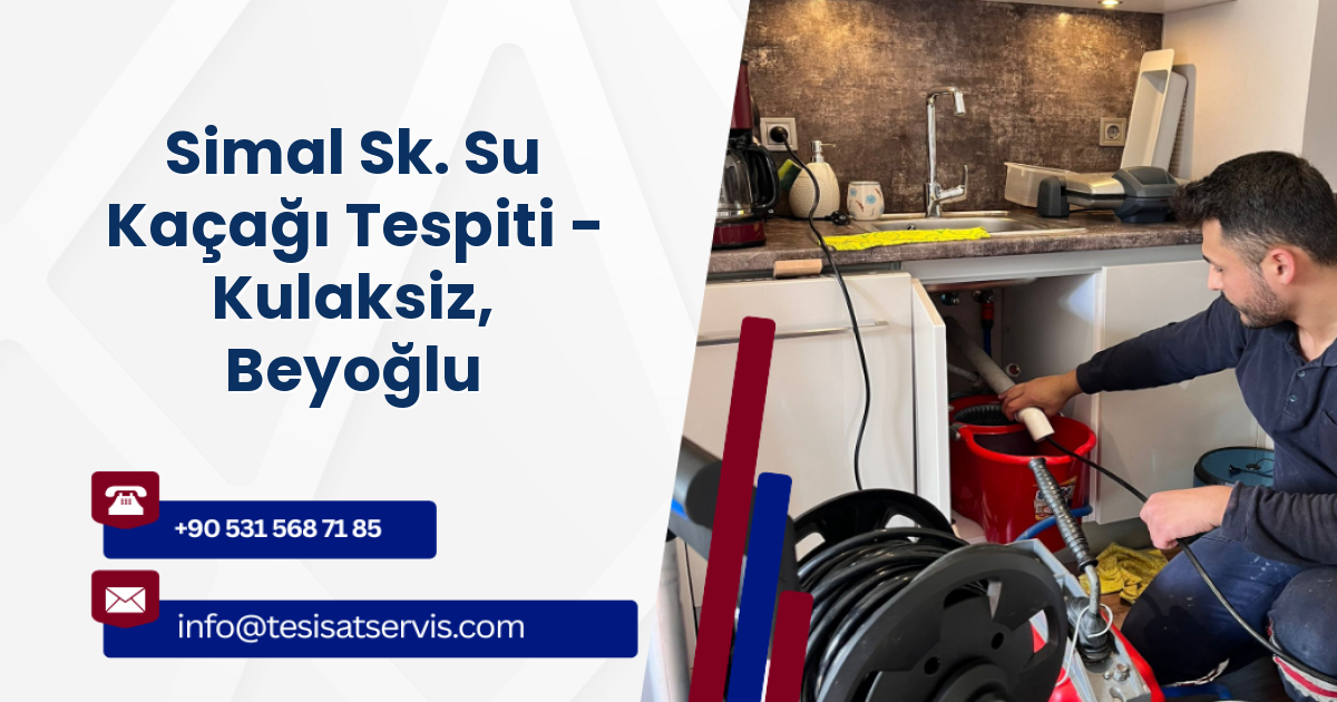 Simal Sk. Su Kaçağı Tespiti - Kulaksiz, Beyoğlu