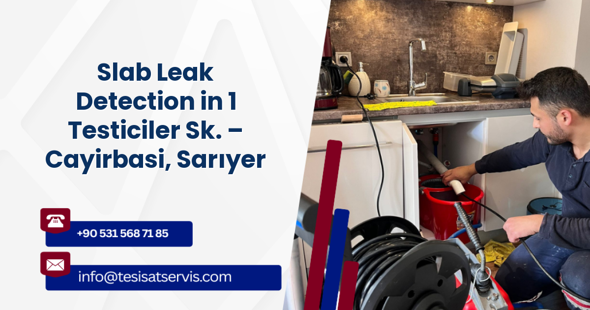 Slab Leak Detection in 1 Testiciler Sk. – Cayirbasi, Sarıyer