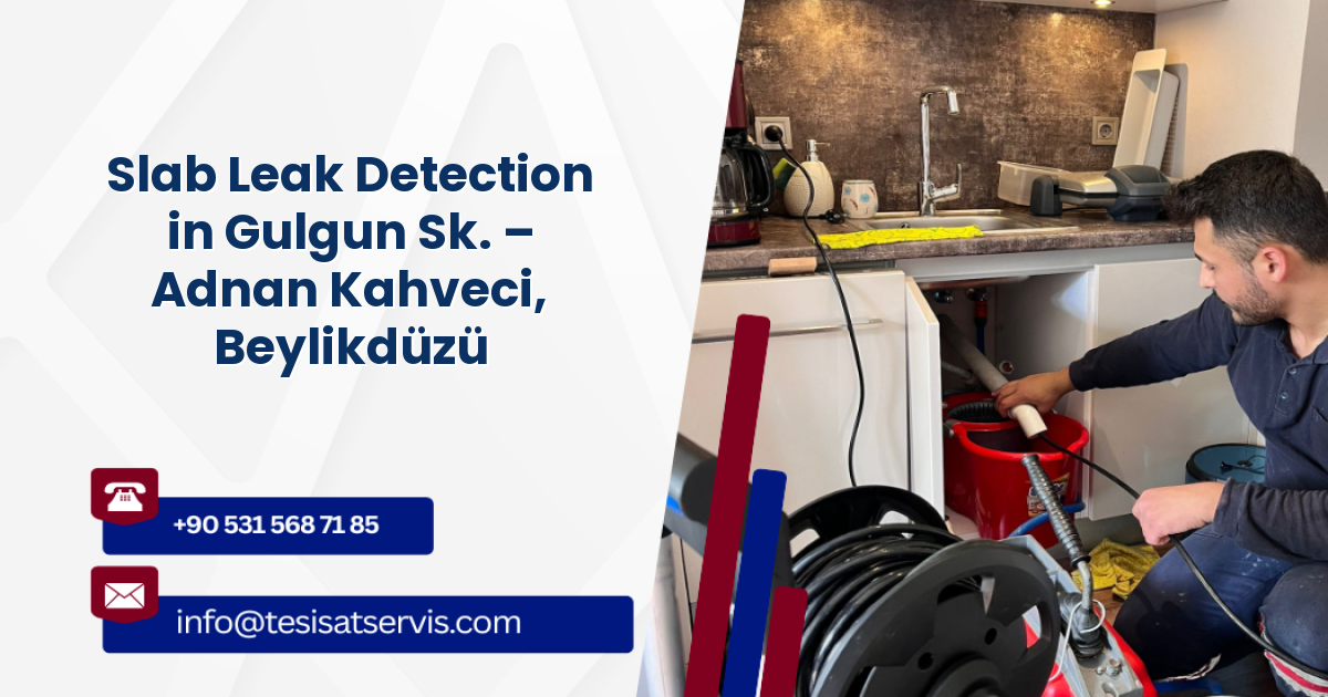 Slab Leak Detection in Gulgun Sk. – Adnan Kahveci, Beylikdüzü