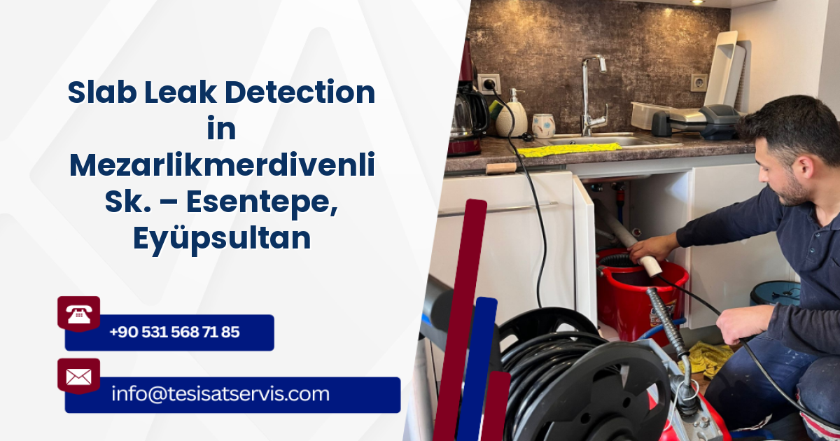 Slab Leak Detection in Mezarlikmerdivenli Sk. – Esentepe, Eyüpsultan