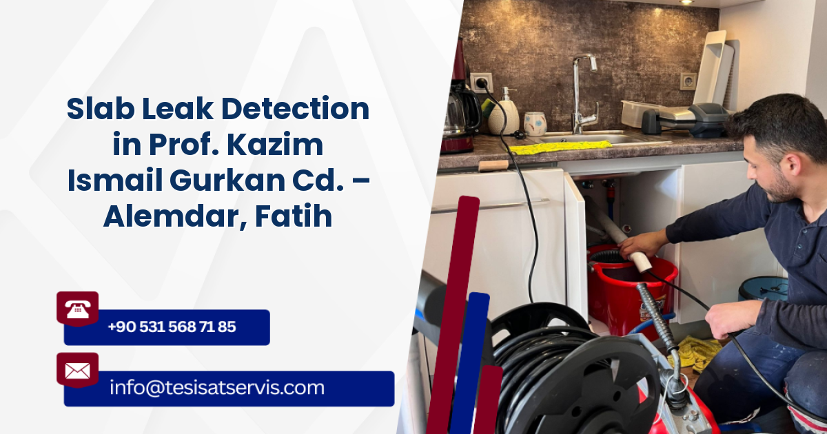 Slab Leak Detection in Prof. Kazim Ismail Gurkan Cd. – Alemdar, Fatih