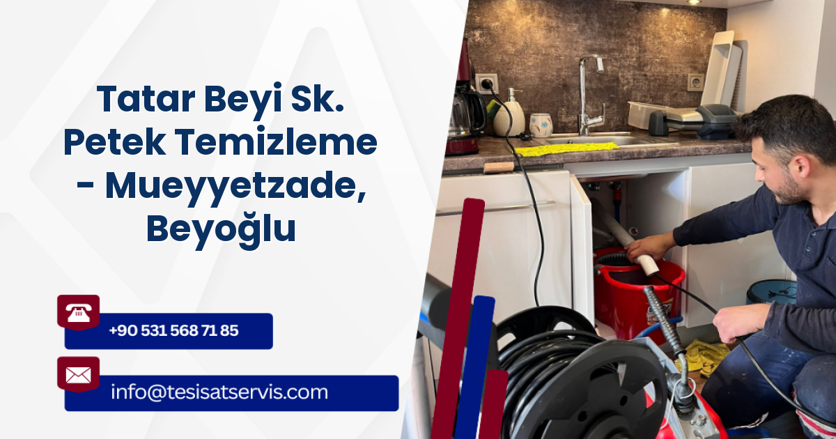 Tatar Beyi Sk. Petek Temizleme - Mueyyetzade, Beyoğlu
