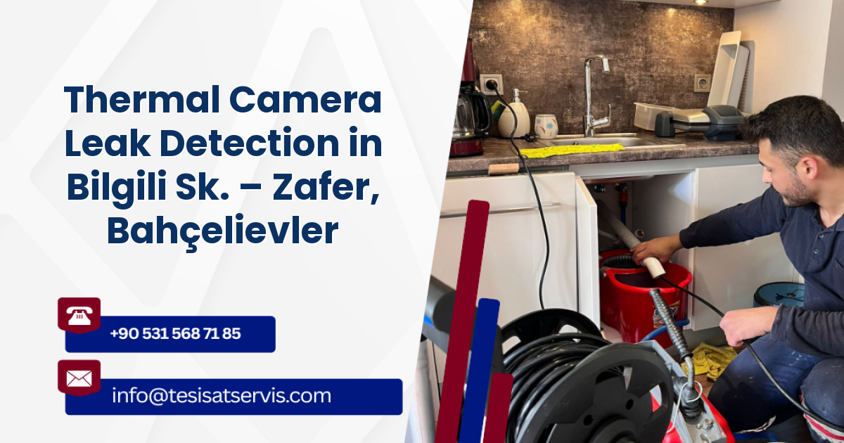 Thermal Camera Leak Detection in Bilgili Sk. – Zafer, Bahçelievler