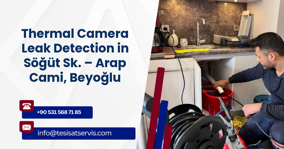 Thermal Camera Leak Detection in Söğüt Sk. – Arap Cami, Beyoğlu