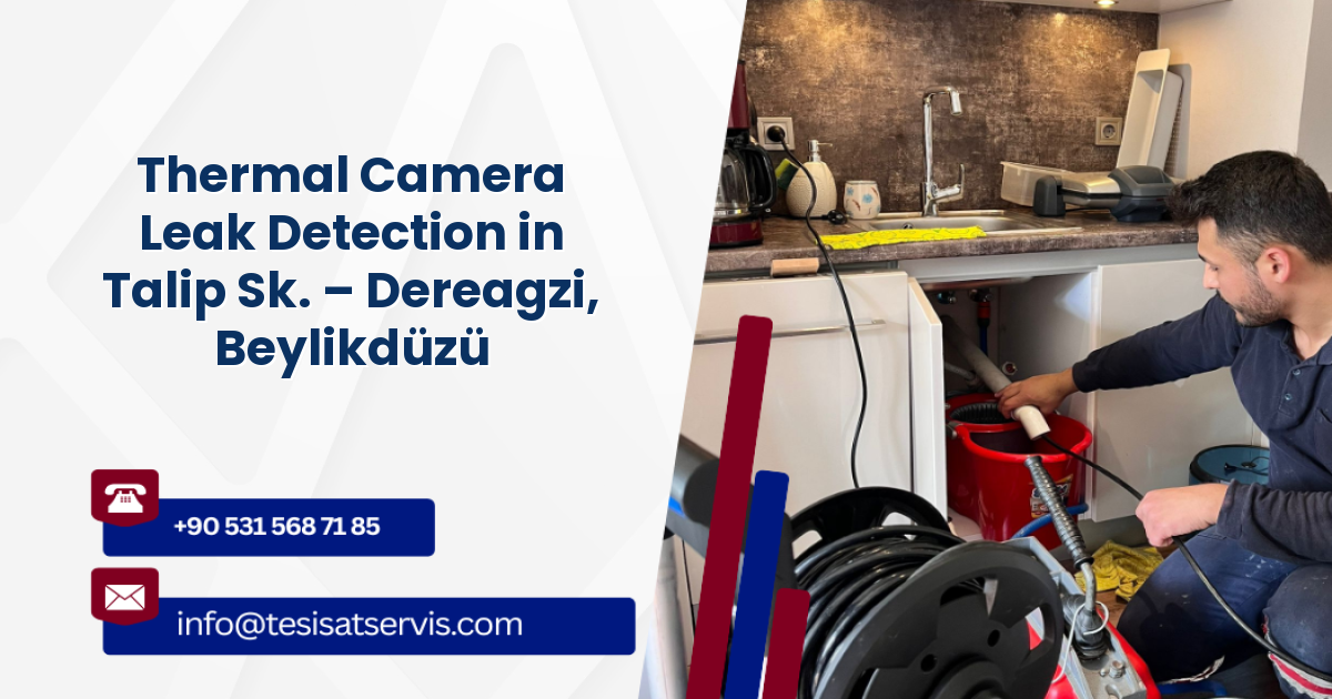 Thermal Camera Leak Detection in Talip Sk. – Dereagzi, Beylikdüzü