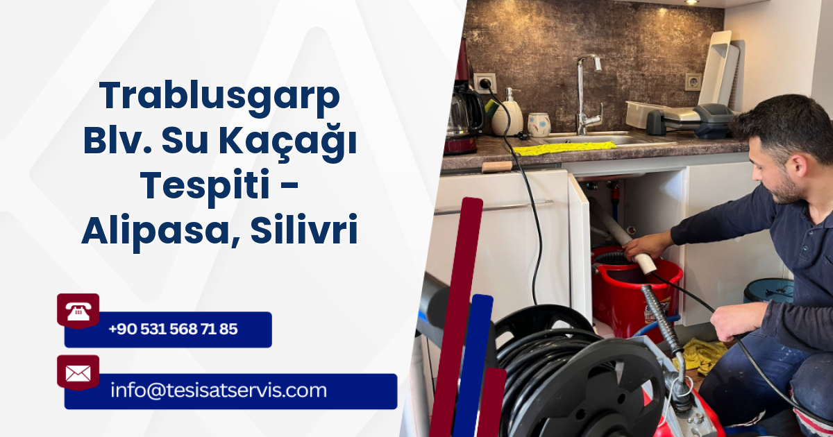 Trablusgarp Blv. Su Kaçağı Tespiti - Alipasa, Silivri