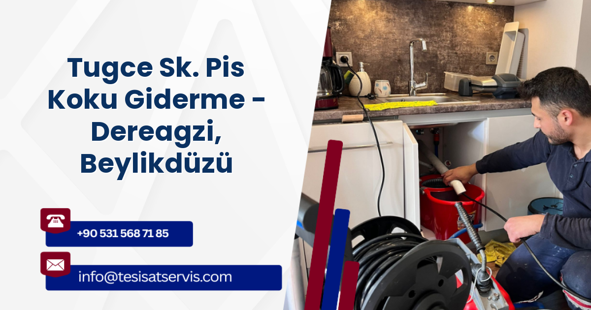 Tugce Sk. Pis Koku Giderme - Dereagzi, Beylikdüzü