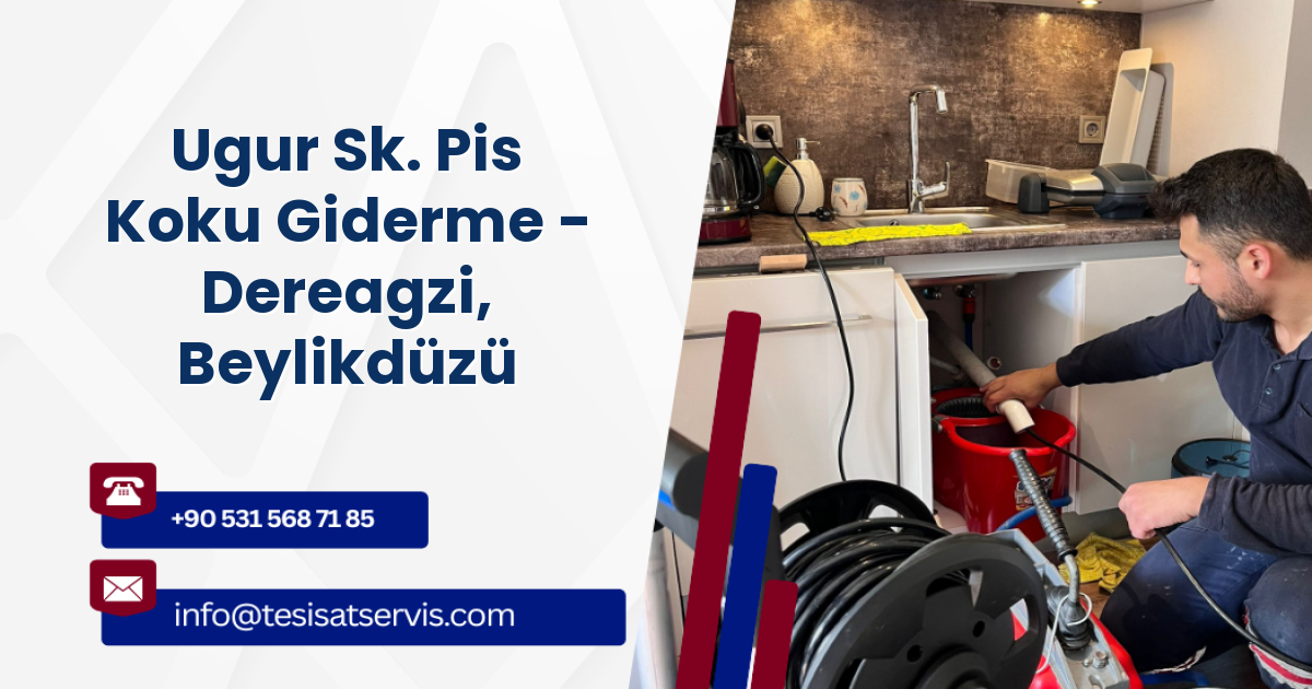 Ugur Sk. Pis Koku Giderme - Dereagzi, Beylikdüzü