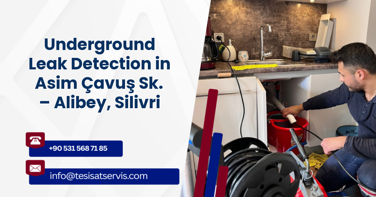 Underground Leak Detection in Asim Çavuş Sk. – Alibey, Silivri
