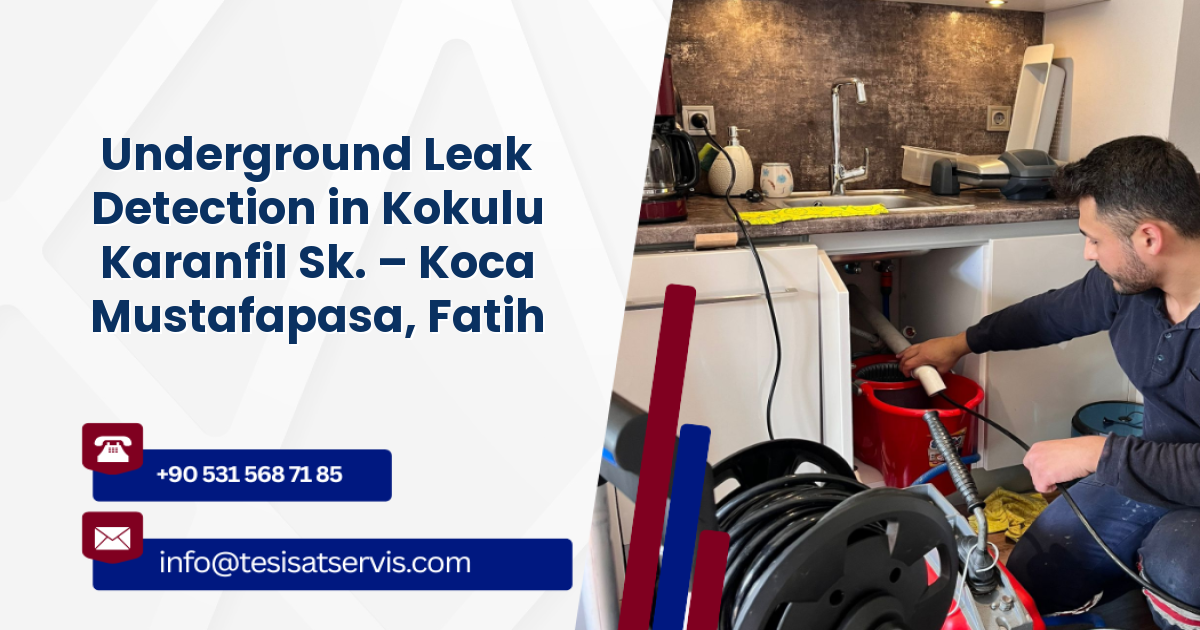 Underground Leak Detection in Kokulu Karanfil Sk. – Koca Mustafapasa, Fatih