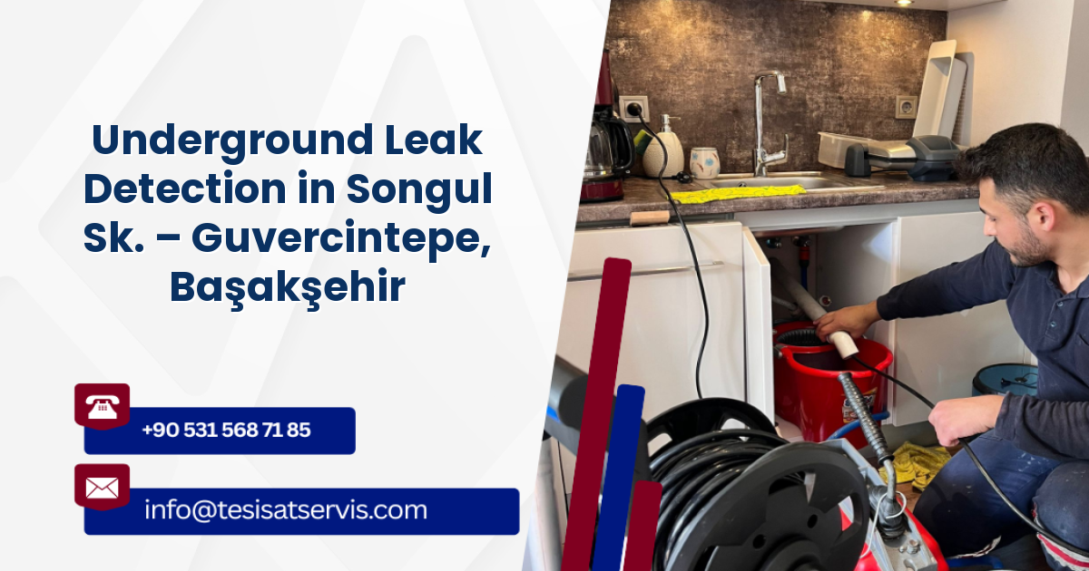 Underground Leak Detection in Songul Sk. – Guvercintepe, Başakşehir