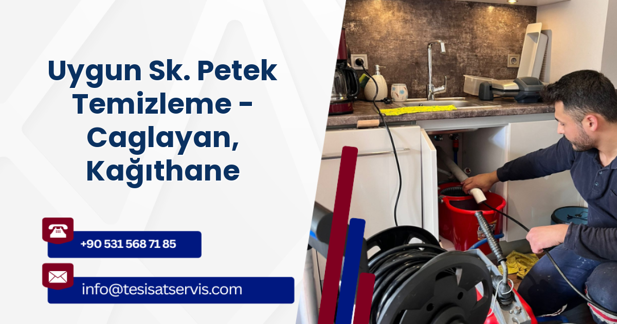 Uygun Sk. Petek Temizleme - Caglayan, Kağıthane