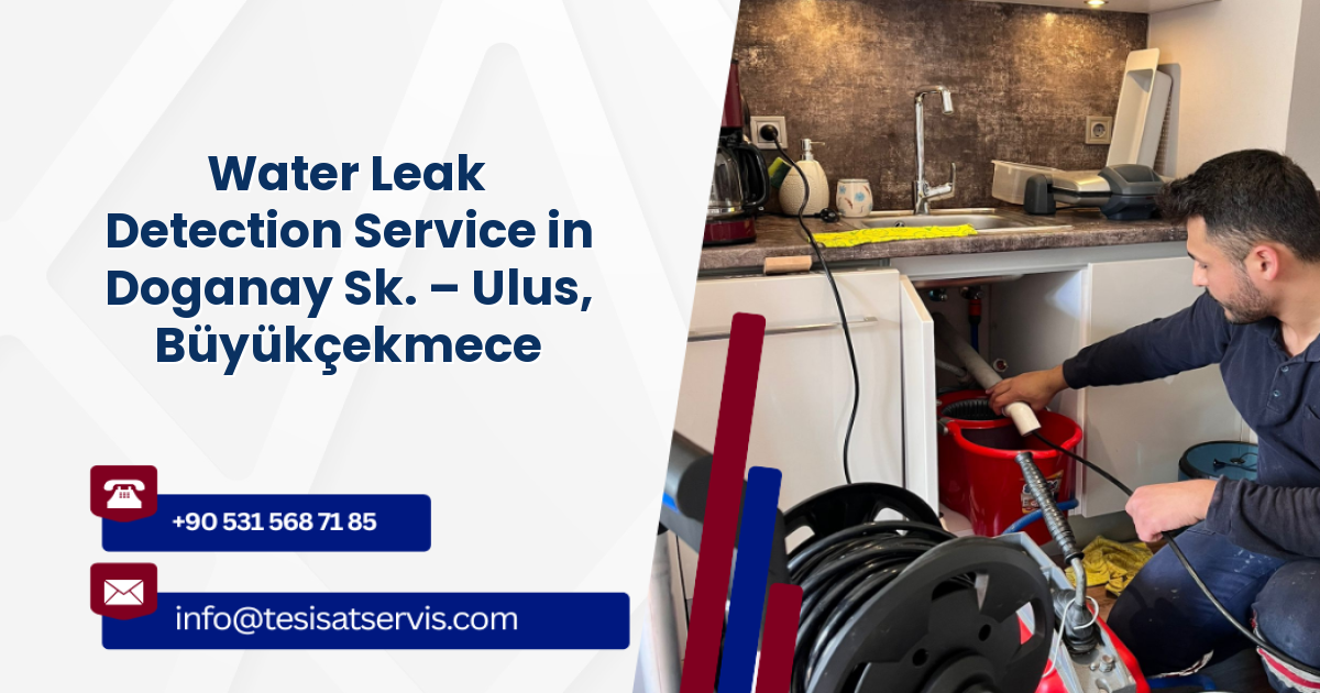 Water Leak Detection Service in Doganay Sk. – Ulus, Büyükçekmece