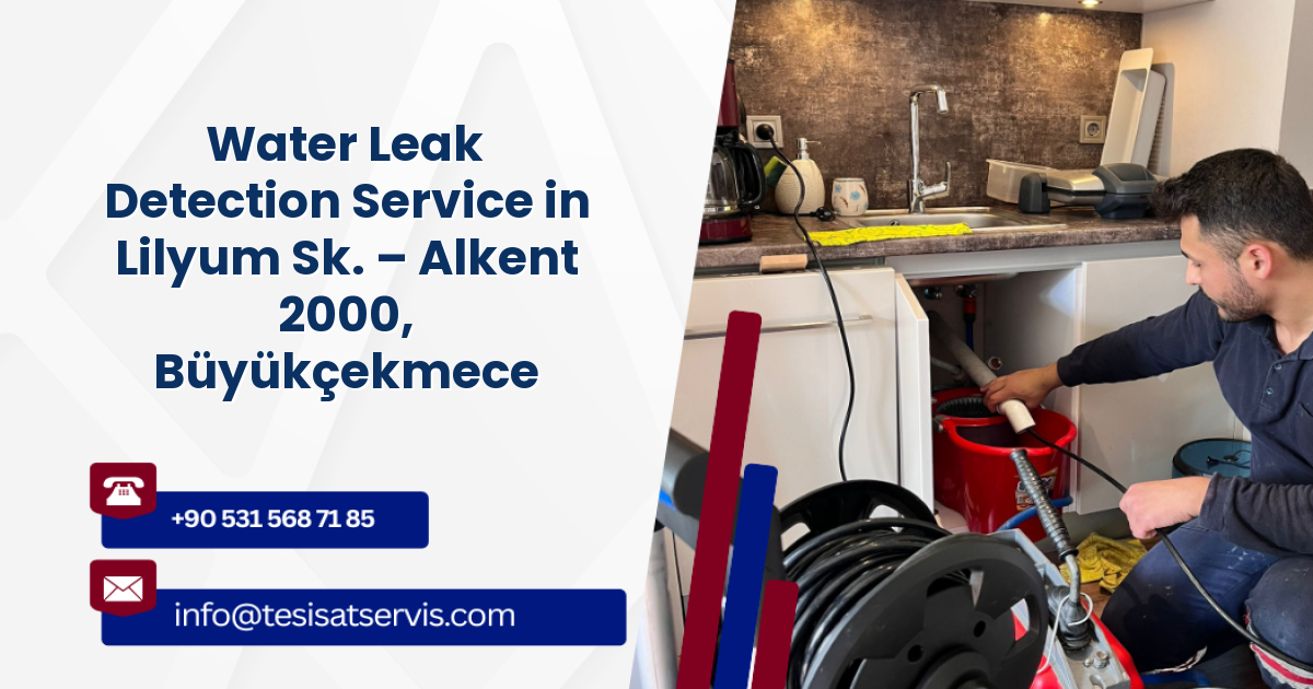 Water Leak Detection Service in Lilyum Sk. – Alkent 2000, Büyükçekmece